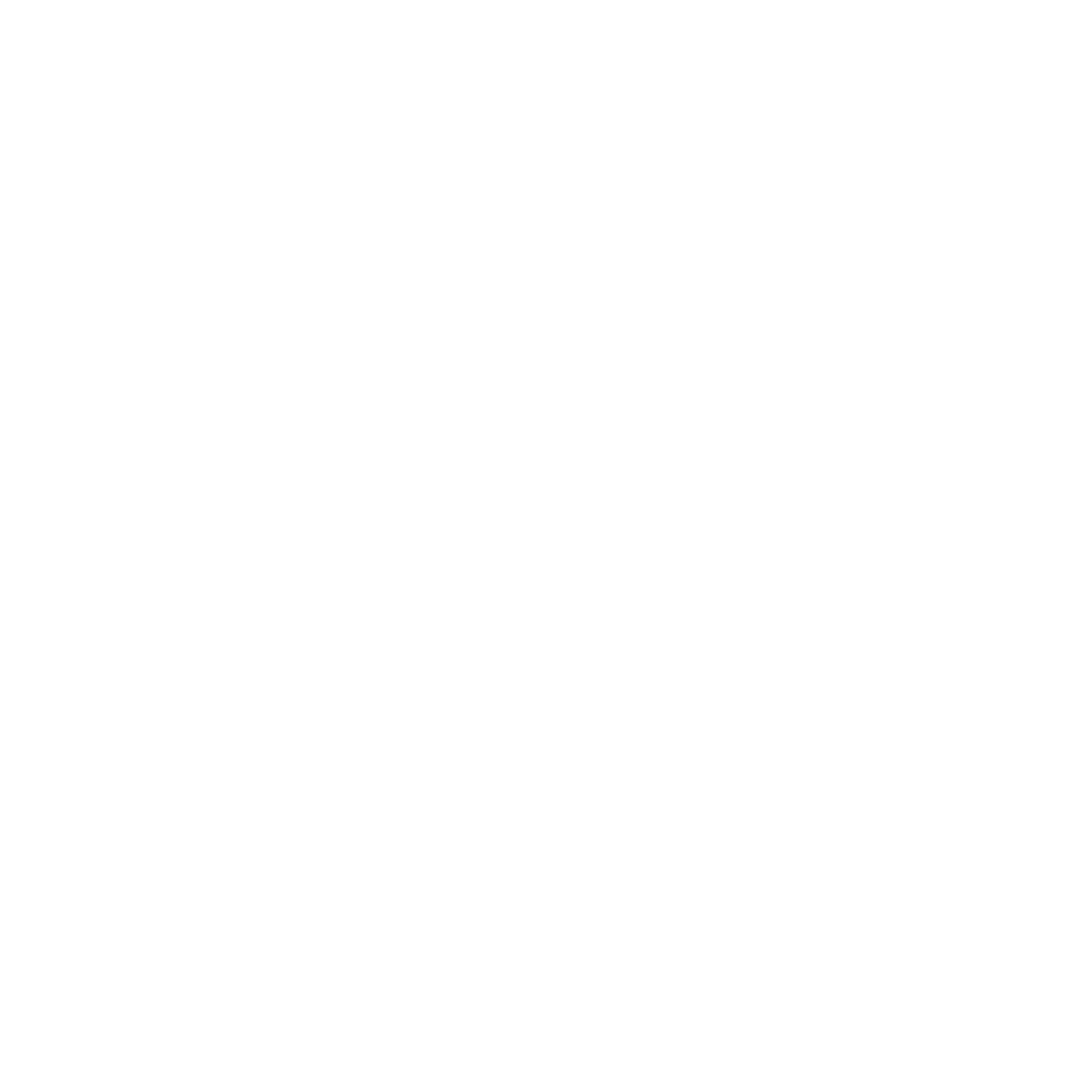 "CODE" DECAL (WHITE)
